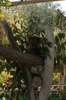 DSC04874