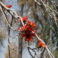 DSC04940