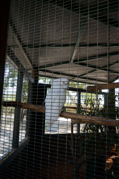 DSC04945