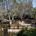 DSC04973.JPG