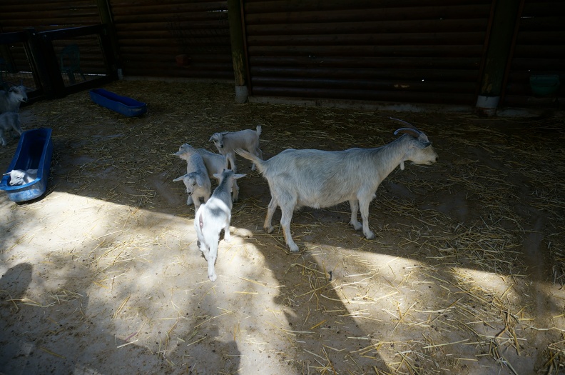 DSC05018