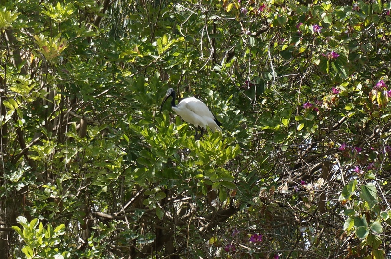 DSC05039