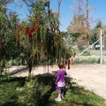 IMG 20140329 111541
