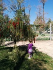 IMG 20140329 111541