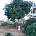 IMG 20140226 165805