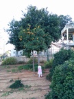 IMG 20140226 165805