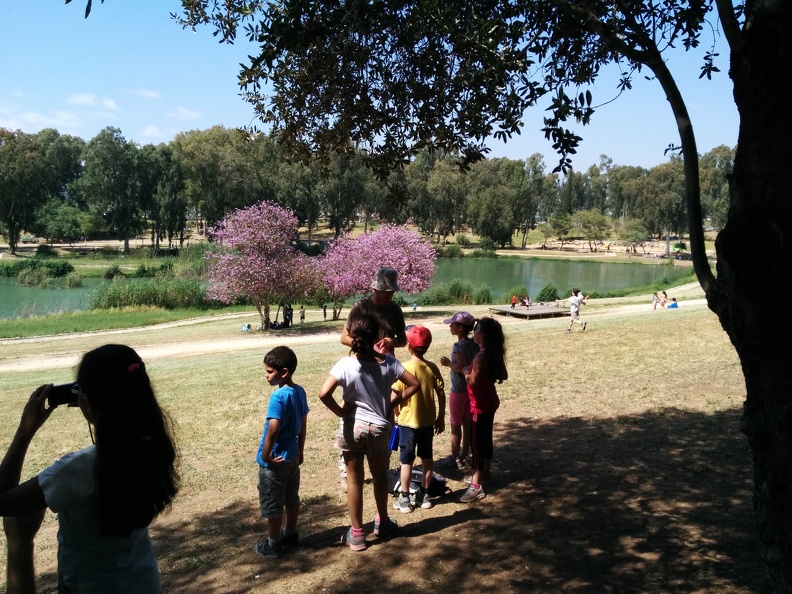 IMG 20140426 143140