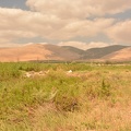 DSC 0037