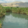 DSC 0069