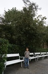 DSC05495