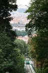 DSC05584