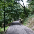 DSC05590
