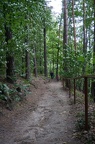 DSC06060