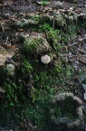 DSC06201