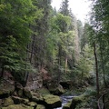 DSC06307