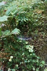 DSC06329