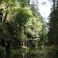 DSC06333