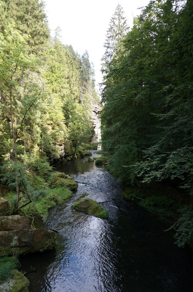 DSC06367