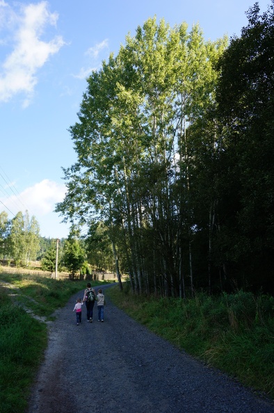 DSC06381