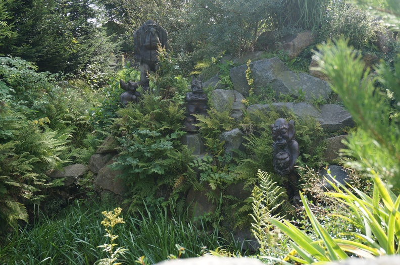 DSC06542