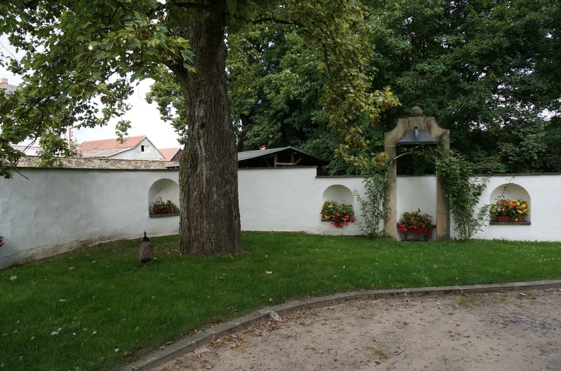 DSC07250