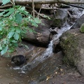 DSC07085