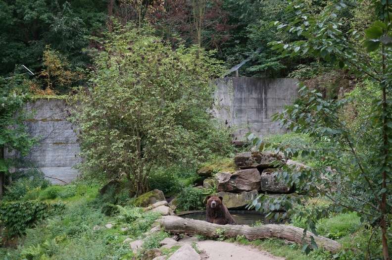 DSC07095
