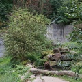 DSC07095