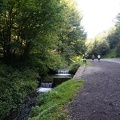 DSC06550