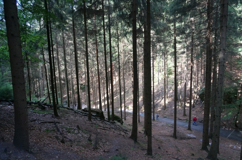 DSC06565