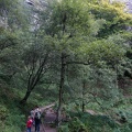 DSC06719