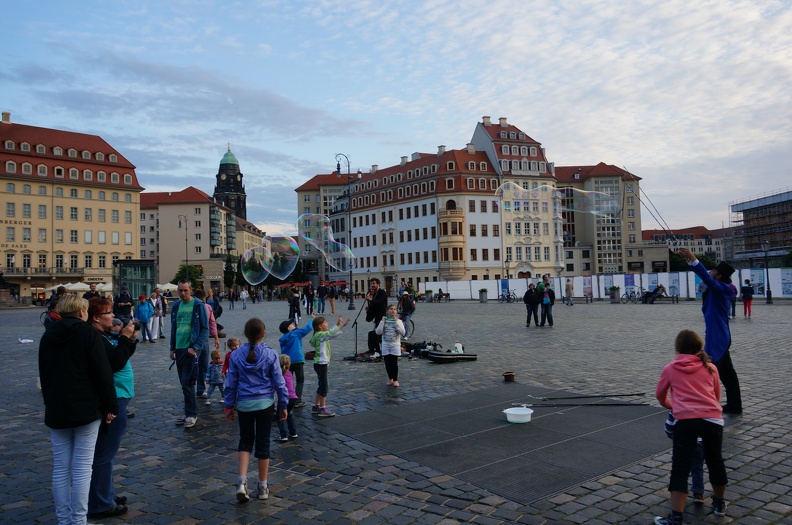 DSC07010
