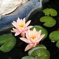 IMG-20140612-WA0001