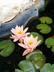 IMG-20140612-WA0001
