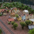DSC07503