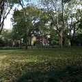 DSC07640