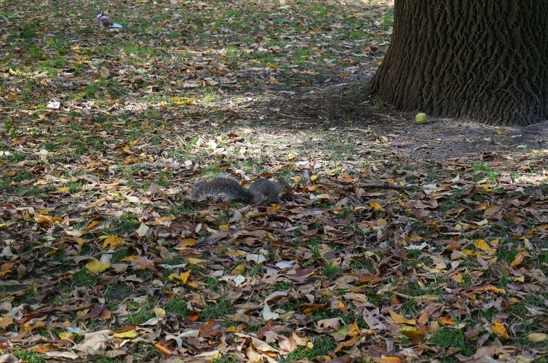 DSC07641