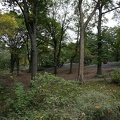 DSC07757