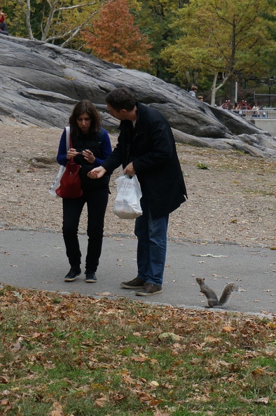 DSC07761a