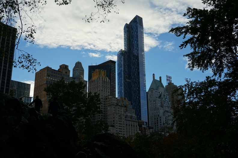 DSC07806