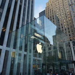 5th Ave