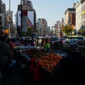 DSC08007