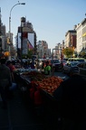 DSC08007
