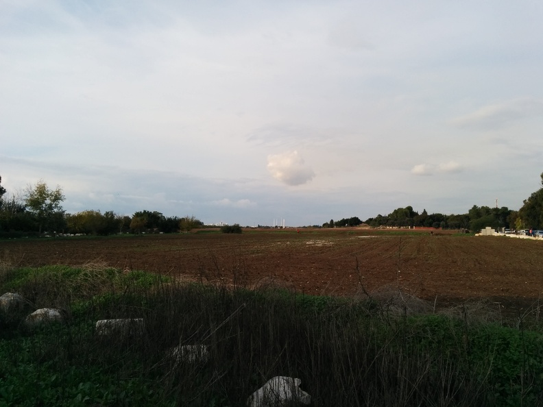 IMG 20141129 150204