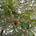 IMG 20141129 150431