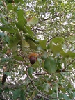 IMG 20141129 150431