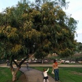 IMG 20141129 151248
