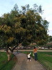 IMG 20141129 151248