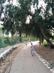 IMG 20141129 152454