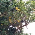IMG 20141129 152819